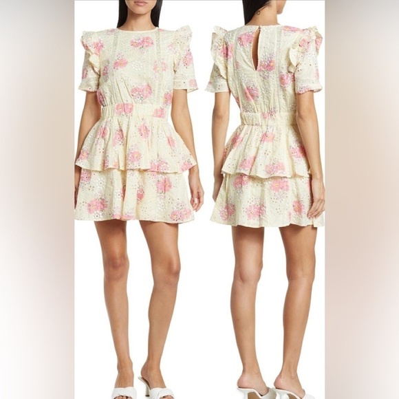 Walter Baker Dresses & Skirts - WALTER Baker cassandra dress in Peony Eyel. NWT